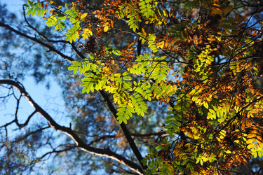 Similar image 22007501