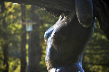 Similar image 22007509