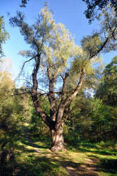 Similar image 22007538