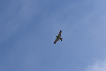 Similar image 22008263