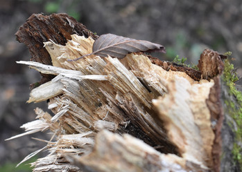 Similar image 22008264