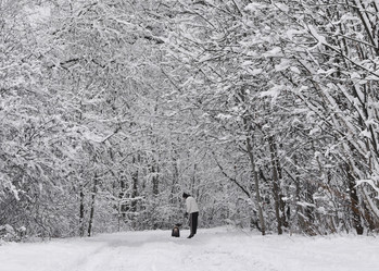 Similar image 22008266