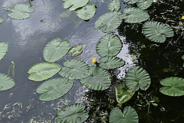 Similar image 22008267