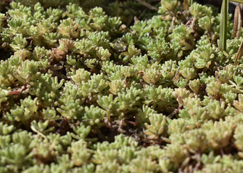 Similar image 22008270