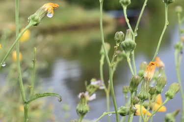 Similar image 22008279