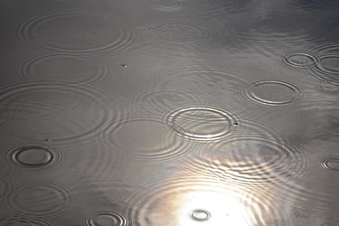 Similar image 22008280