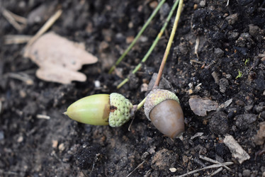 Similar image 22008281