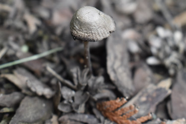 Similar image 22008282