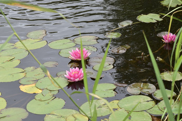 Similar image 22008283