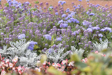 Similar image 22008284