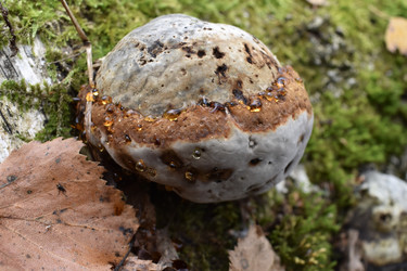 Similar image 22008285