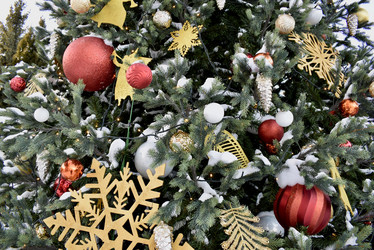 Similar image 22008288