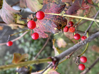 Similar image 22008293