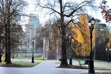 Similar image 22007529