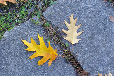 Similar image 22007545