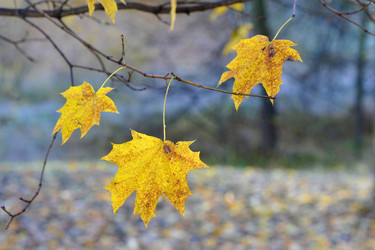 Similar image 22007548