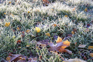 Similar image 22015649