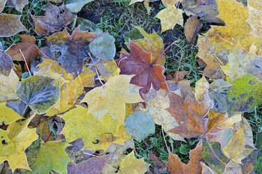 Similar image 22015650