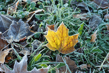 Similar image 22015651