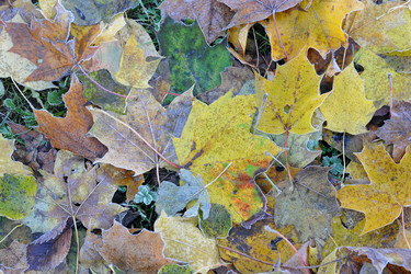 Similar image 22015652