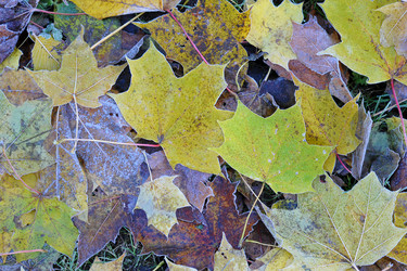 Similar image 22015653