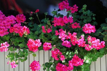 Similar image 22015657