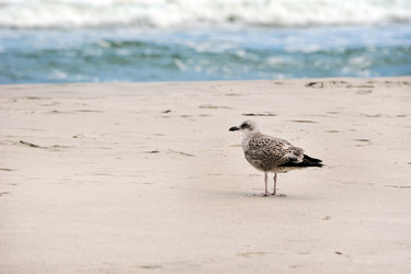 Similar image 22015755