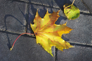 Similar image 22015759