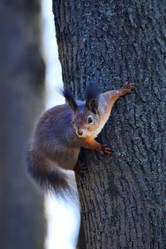 Similar image 22015766