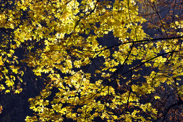 Similar image 22015767