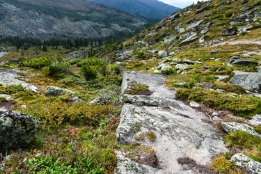 Similar image 22007229