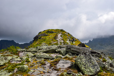 Similar image 22007230