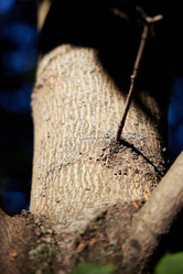 Similar image 22014087