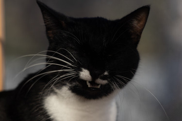 Similar image 22007714