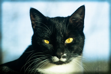 Similar image 22007715