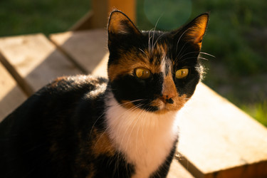 Similar image 22007717