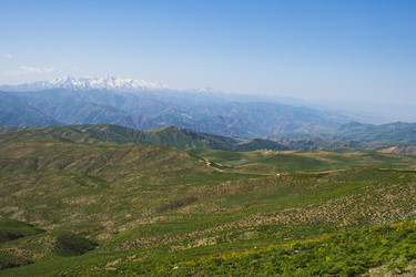 Similar image 22007718