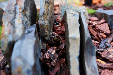 Similar image 22018525