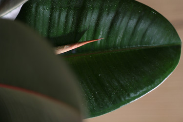 Similar image 22018527