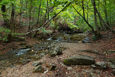 Similar image 22007851