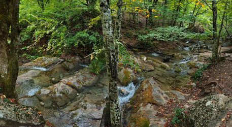 Similar image 22007852