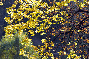 Similar image 22015663