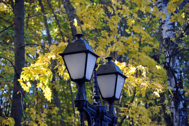 Similar image 22015739