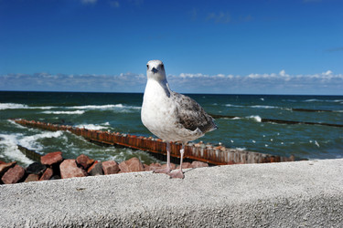 Similar image 22015787