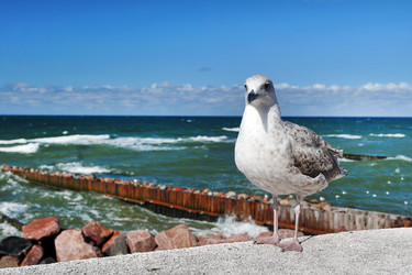 Similar image 22015832