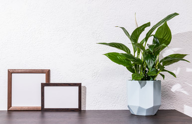 Similar image 22007738