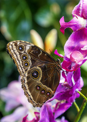 Similar image 22011608