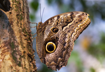 Similar image 22011612