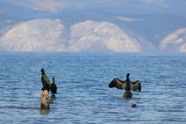 Similar image 22007569