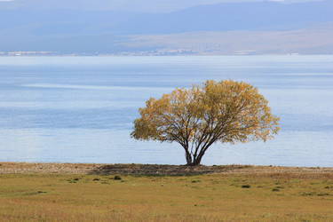 Similar image 22007570